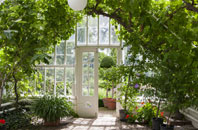 free Kidnal orangery quotes